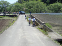 DSC05631