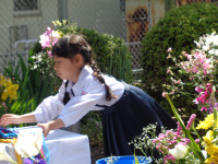 DSC06033
