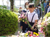 DSC06051