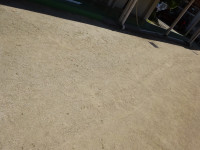 DSC06571