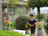 IMG_0009 (6)