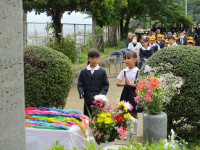 IMG_0036 (1)