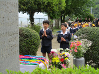 IMG_0043 (1)