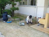 DSC09424