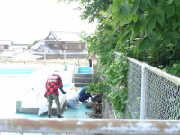 DSC09429
