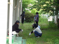 DSC09442