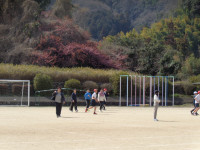DSC00981
