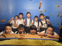 21374